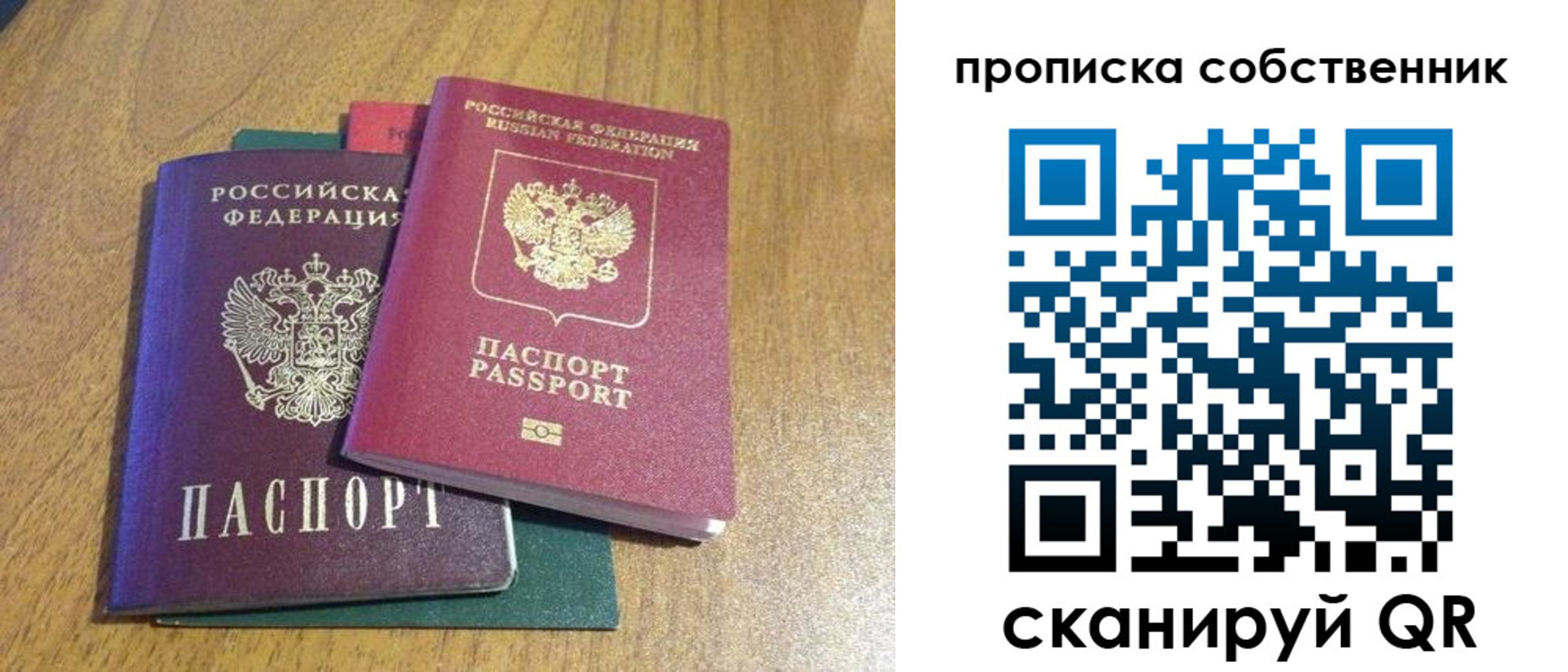 временная регистрация гарантия в Волосово